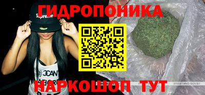 прущие крисы Новозыбков