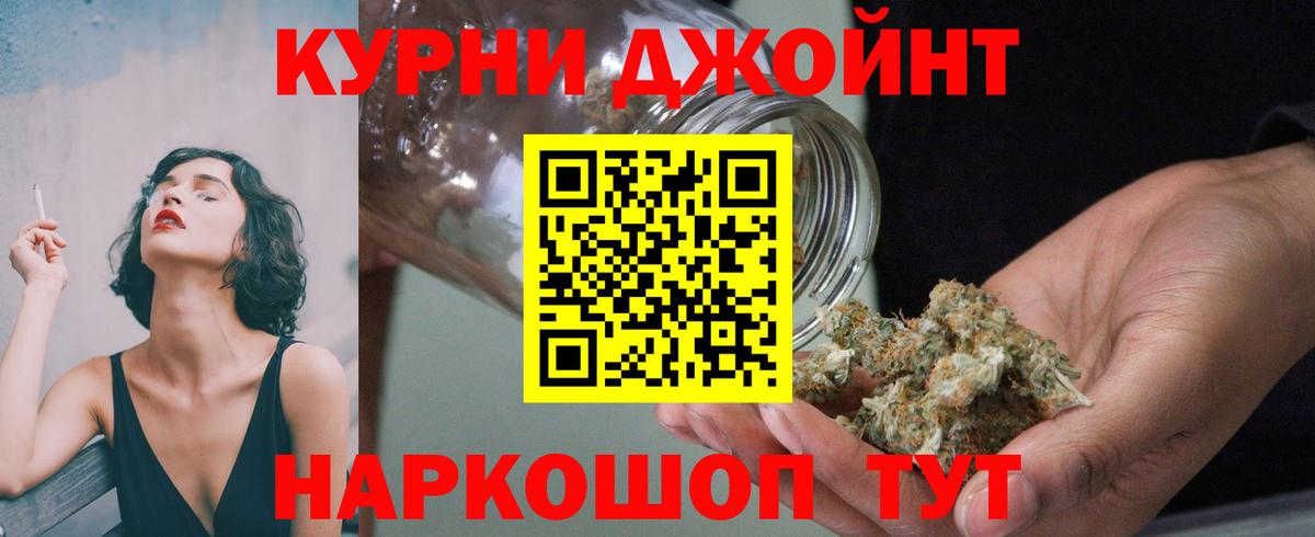 Конопля OG Kush Советск